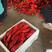 安徽红泡椒大量上市产地直发一手货源电商超市饭店社区团购