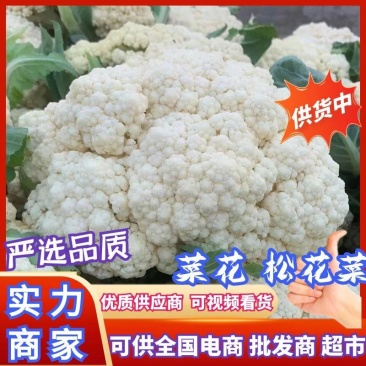 本地菜花精品松花菜有机花菜货源充足供全国电商超市