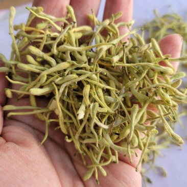 金银花双花青花无杂质多种规格大货公英七彩百草中药