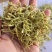 金银花双花青花无杂质多种规格大货公英七彩百草中药