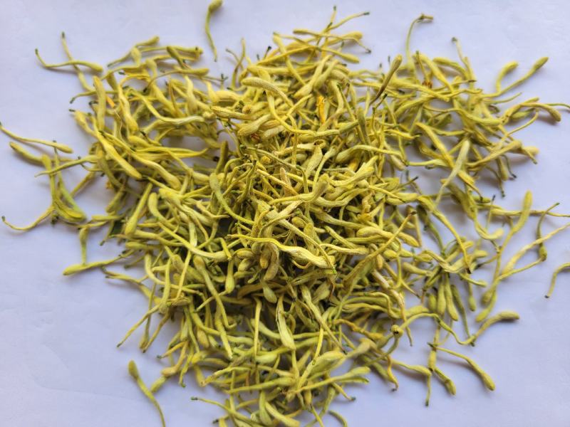金银花双花青花无杂质多种规格大货公英七彩百草中药