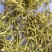 金银花双花青花无杂质多种规格大货公英七彩百草中药