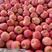 沂蒙山红富士苹果大量上市口感脆甜多汁产地直供批发