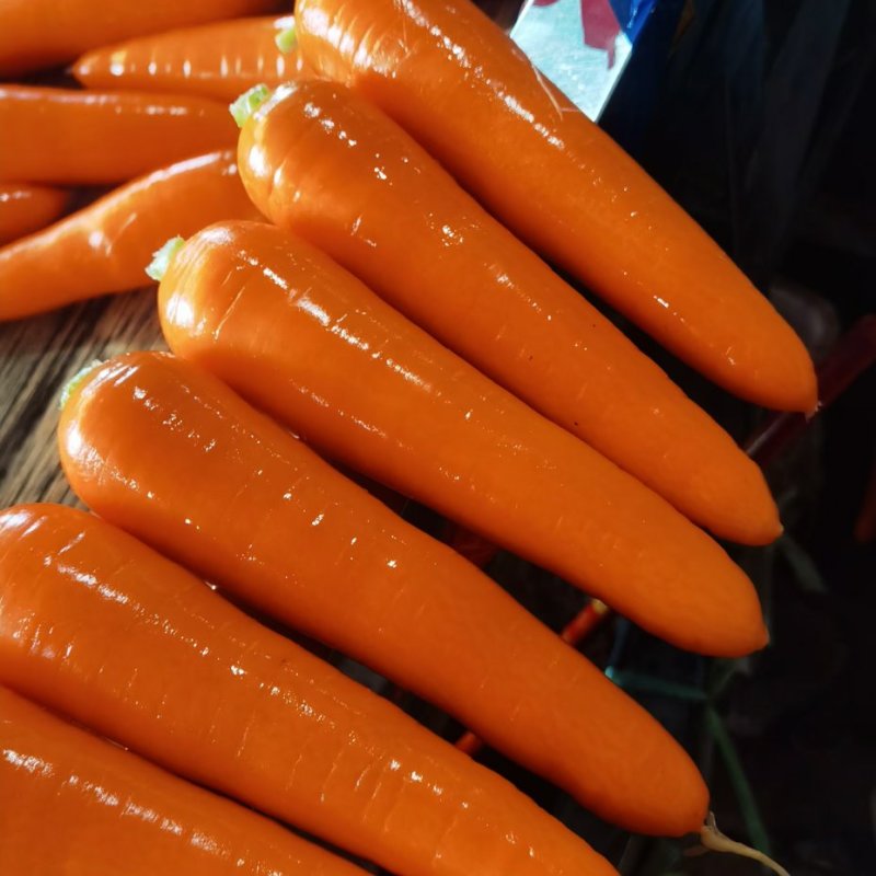 胡萝卜水洗精品土胡萝卜，小条萝卜基地直供批发零售规格齐全
