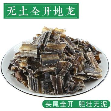 地龙，广地龙，地龙段品质好价格实惠咨询下单