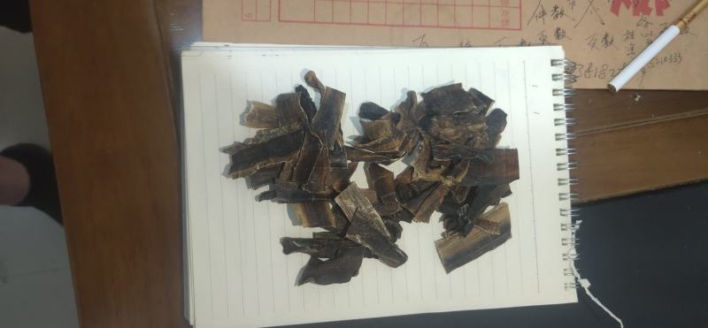 地龙，广地龙，地龙段品质好价格实惠咨询下单