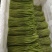 精品芦蒿自家种植一手货源免费看货