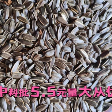 精品葵花籽中料，干净无杂质