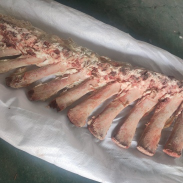 不带肉脊骨
