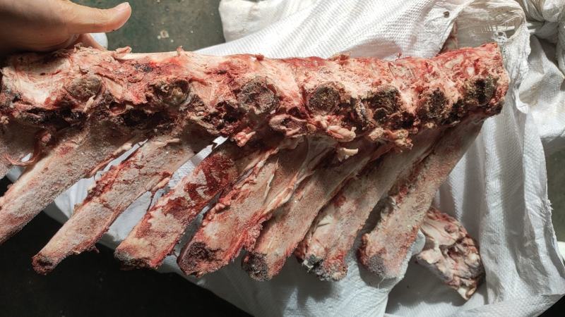 不带肉脊骨