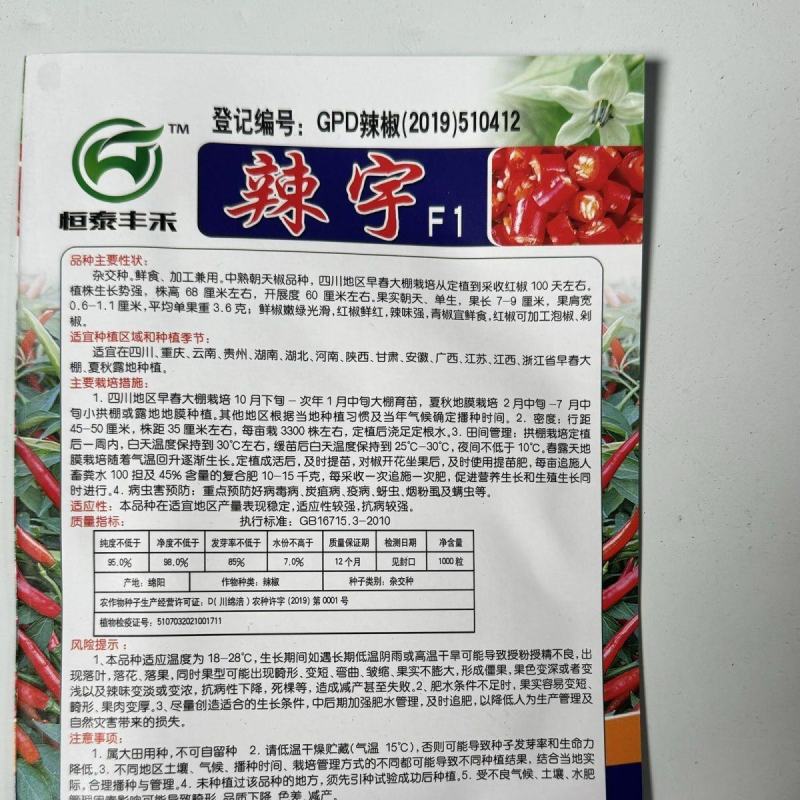 一代杂交大果朝天椒种子超辣高产指天椒种籽大田用辣椒籽单身