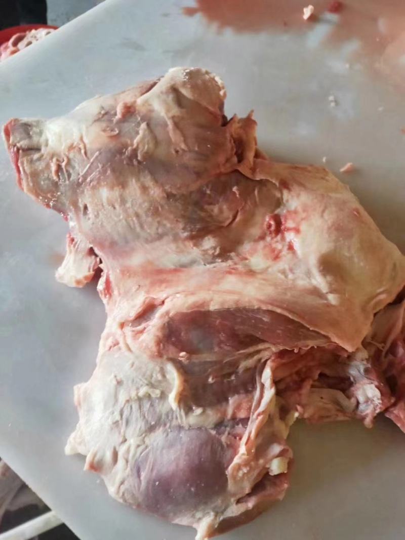 纯干羔羊后腿包，精修去油，肉质鲜美，厂家直销，