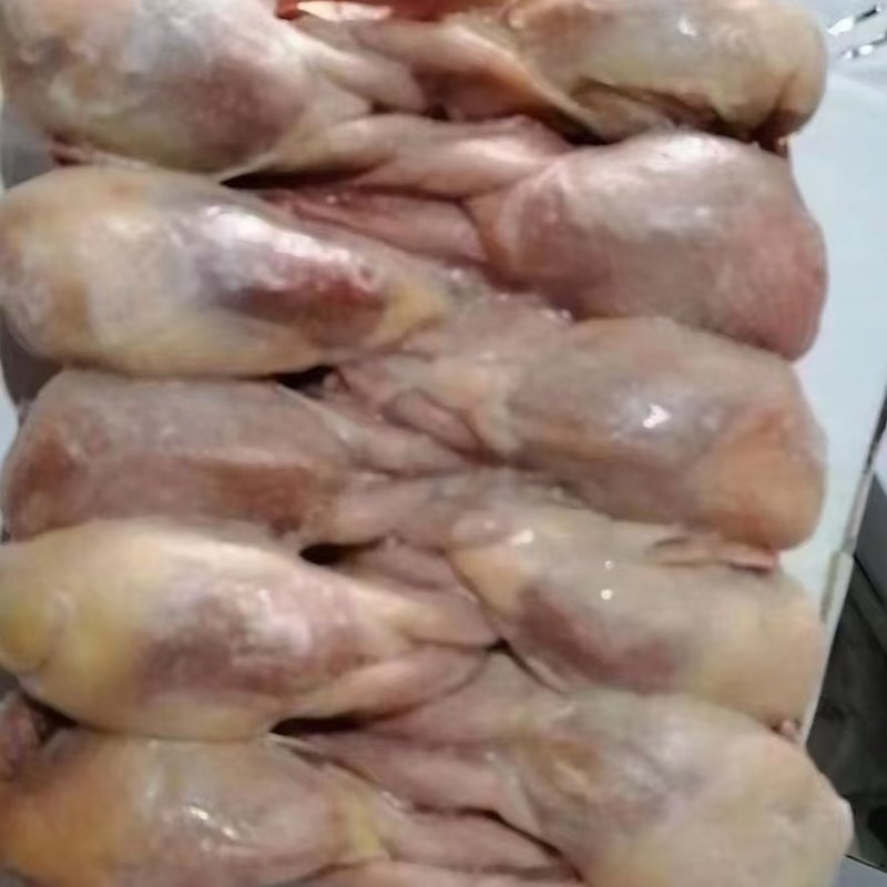 放血大鹌鹑