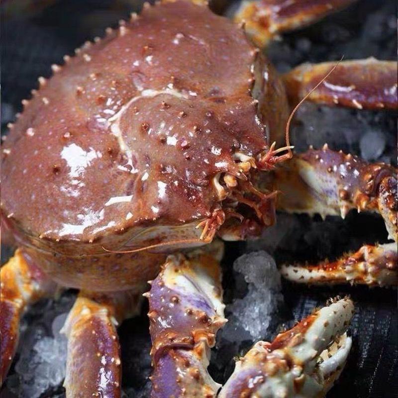 生冻阿拉斯加帝王蟹5-8斤海鲜鲜活红蟹蓝新鲜顺丰包邮上