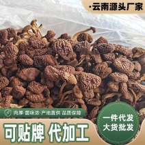 云南特产农家茶树菇干货无硫不开伞茶新菇香菇蘑菇特产