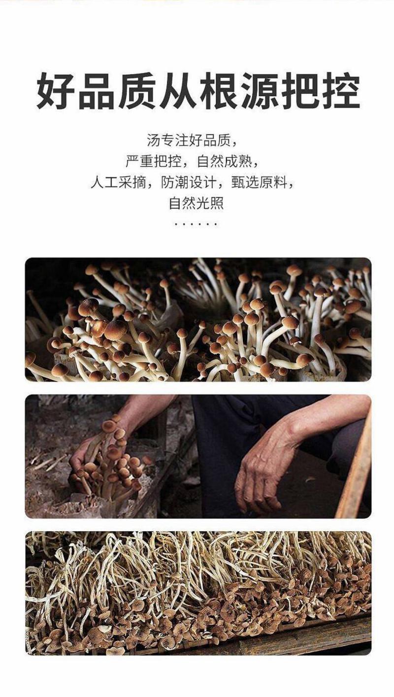 云南特产农家茶树菇干货无硫不开伞茶新菇香菇蘑菇特产