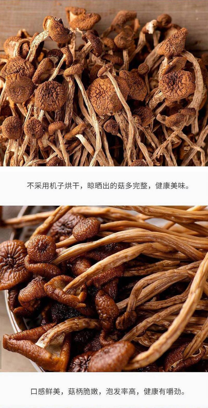 云南特产农家茶树菇干货无硫不开伞茶新菇香菇蘑菇特产
