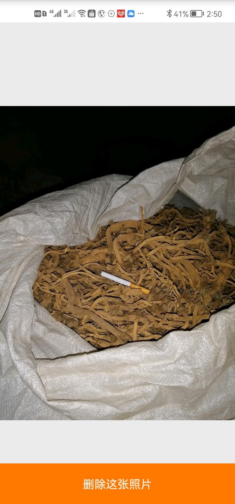 中药材根茎做物防风