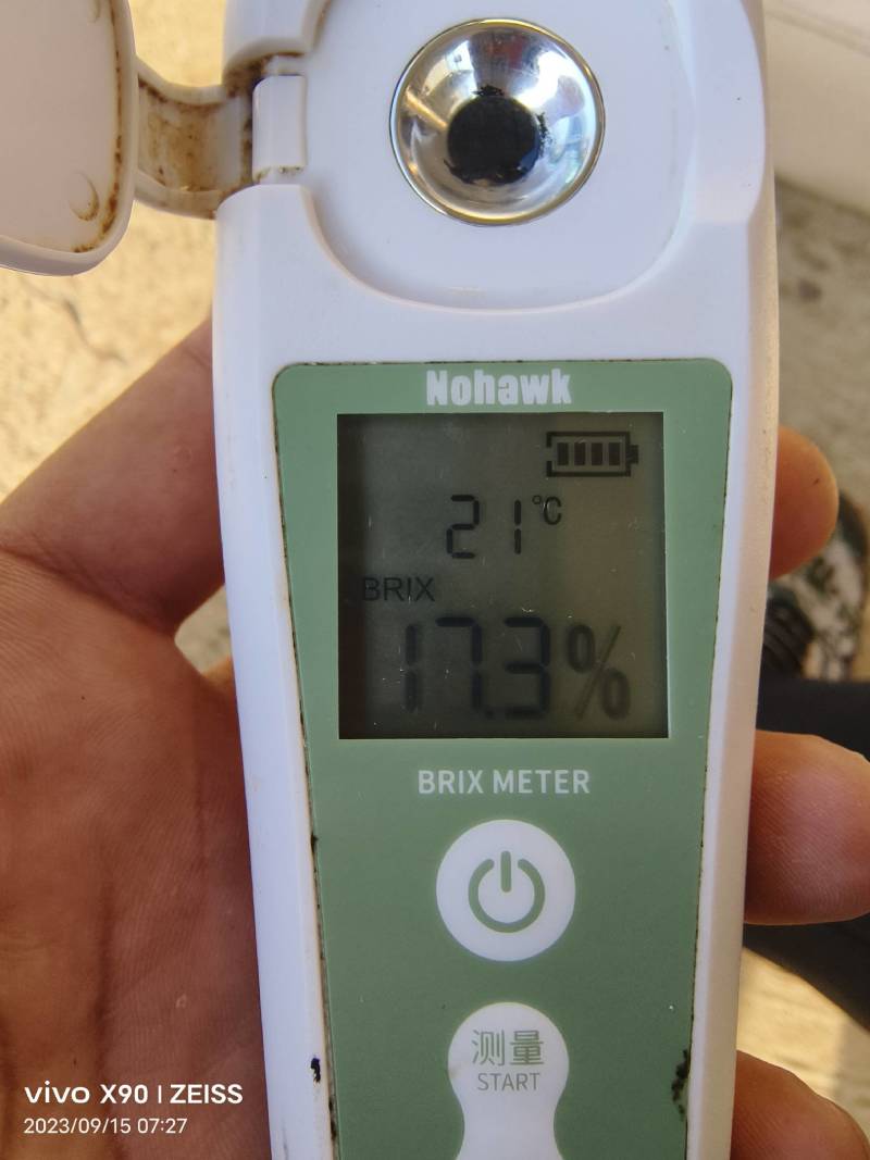 自己果园里的青森水蜜桃苹果，口感纯正，欢迎品尝量大从优