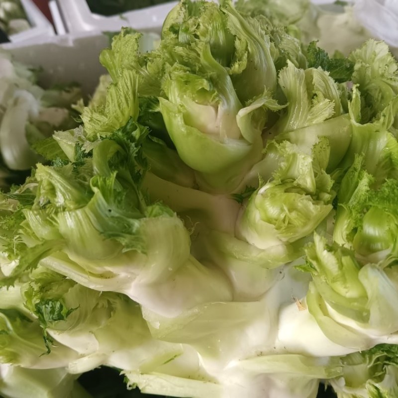 儿菜，万亩蔬菜基地，全国代发，一手货源，欢迎光临