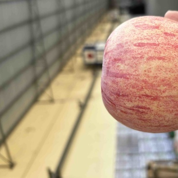 红富士🍎好吃不贵一件代发社团超市