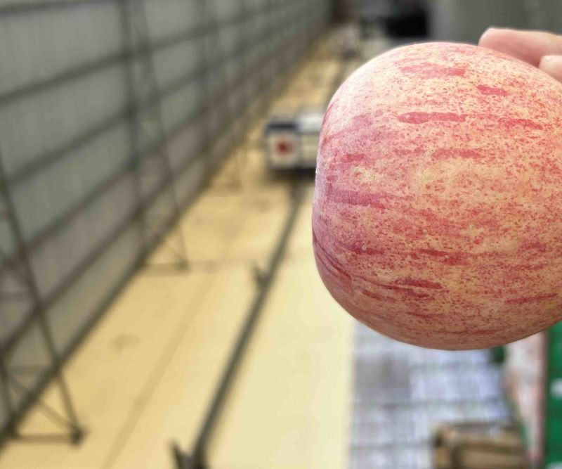 红富士🍎好吃不贵一件代发社团超市