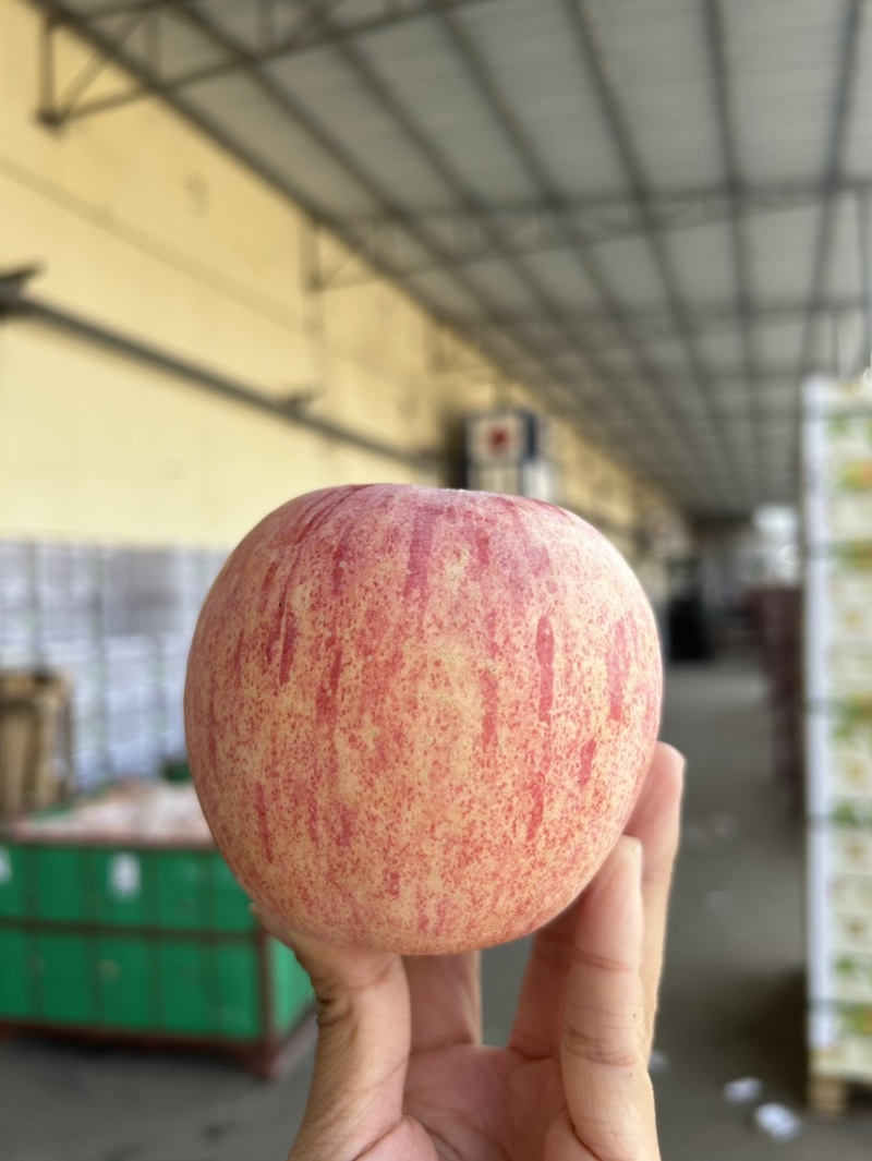 红富士🍎好吃不贵一件代发社团超市
