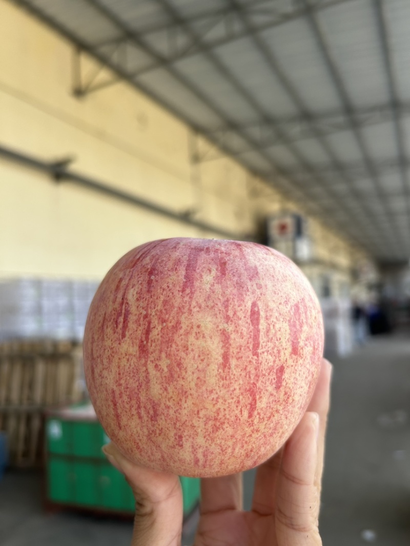 红富士🍎好吃不贵一件代发社团超市