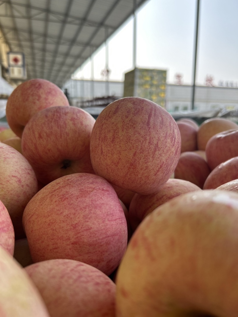 红富士🍎好吃不贵一件代发社团超市