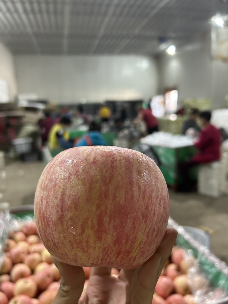 红富士🍎好吃不贵一件代发社团超市