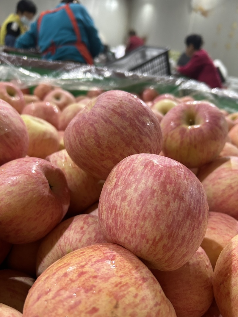 红富士🍎好吃不贵一件代发社团超市