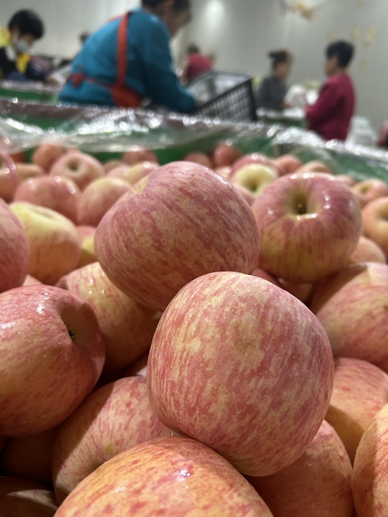 红富士🍎好吃不贵一件代发社团超市