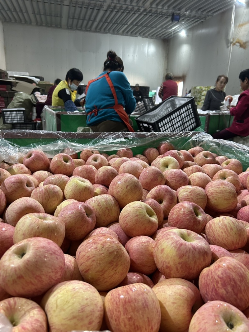 红富士🍎好吃不贵一件代发社团超市