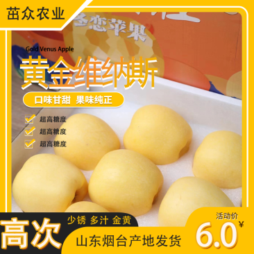 维纳斯黄金高次果