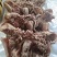 羊头肉去骨羊头肉大白羊头熟羊头肉库房现货价格美丽