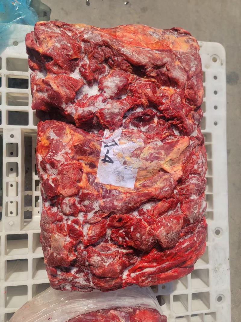亿蒙康蒙古马肉