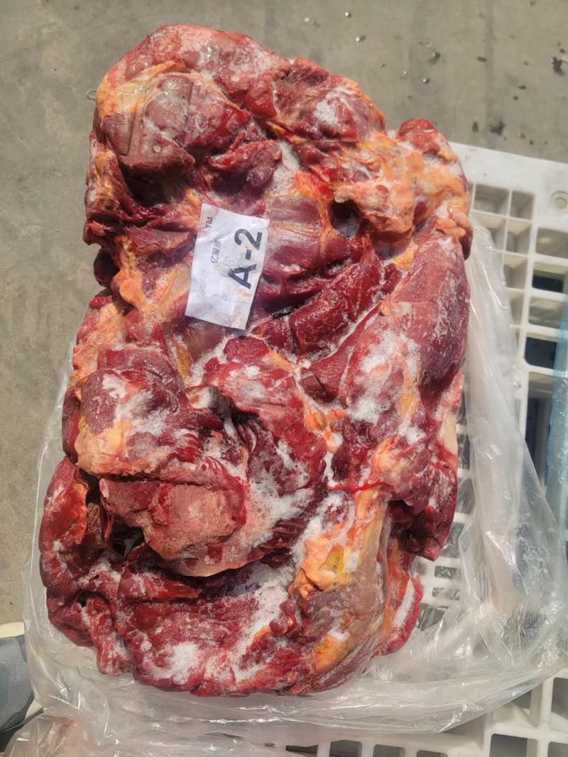 亿蒙康蒙古马肉