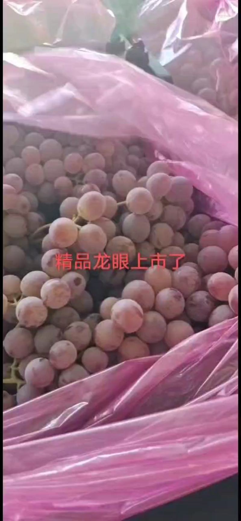 （精选）河北龙眼葡萄热卖中品质保障价格实惠基地直发