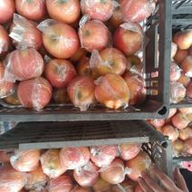红星苹果，刚摘头果，优等品口感好农场自有种植！无任何费用