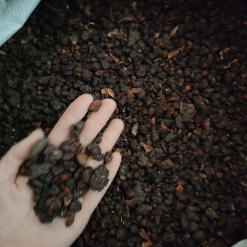 没药制没药祥泰药材栈中药材批发零售实物拍摄量多从优