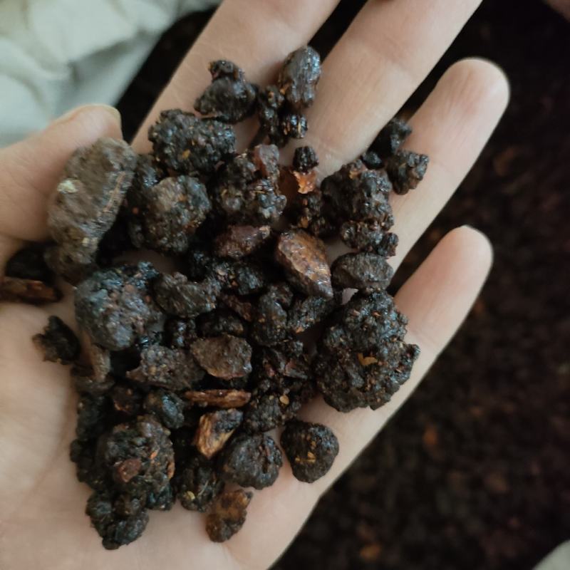 没药制没药祥泰药材栈中药材批发零售实物拍摄量多从优
