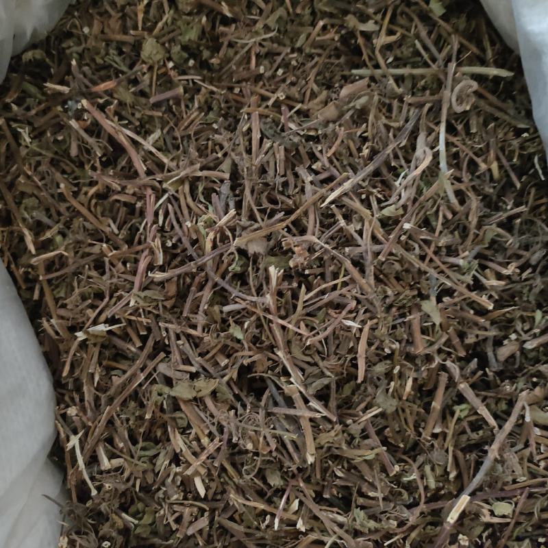 薄荷祥泰药材栈中药材批发零售实物拍摄量多从优欢迎购买