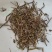 薄荷祥泰药材栈中药材批发零售实物拍摄量多从优欢迎购买