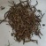 薄荷祥泰药材栈中药材批发零售实物拍摄量多从优欢迎购买