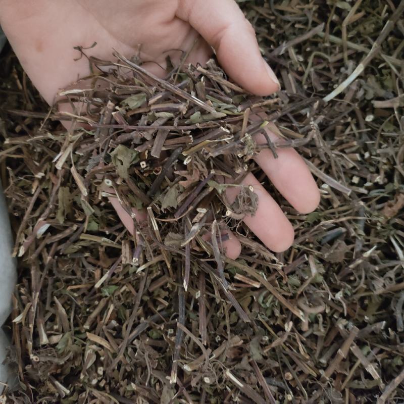 薄荷祥泰药材栈中药材批发零售实物拍摄量多从优欢迎购买