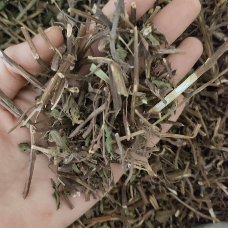 薄荷祥泰药材栈中药材批发零售实物拍摄量多从优欢迎购买