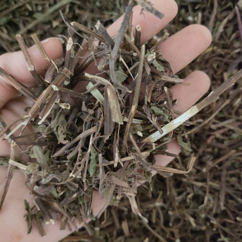 薄荷祥泰药材栈中药材批发零售实物拍摄量多从优欢迎购买