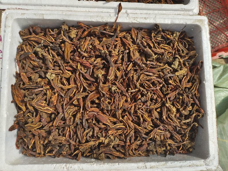野生回春草花粉头