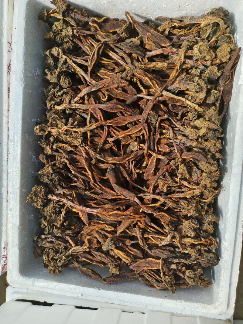 回春草还有10天开始上市
