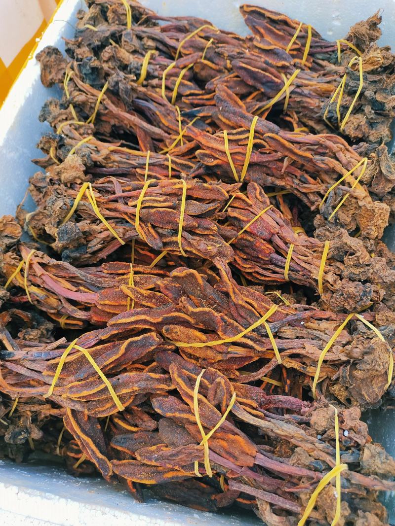 回春草小货